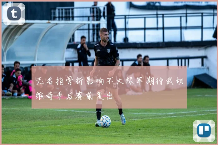 无名指骨折影响不大绿军期待武切维奇季后赛前复出