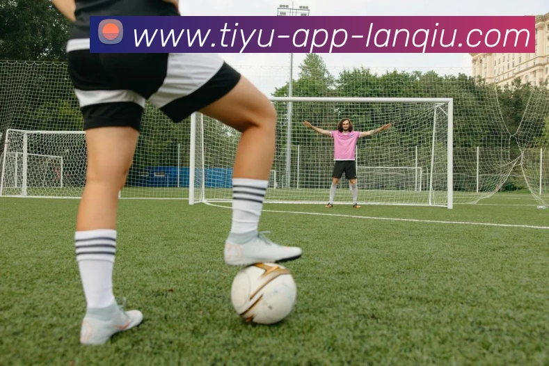 篮球赌注品牌故事