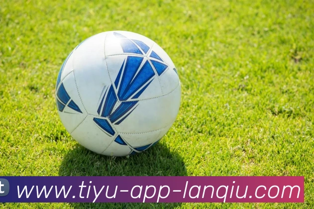 篮球赌注服务体系